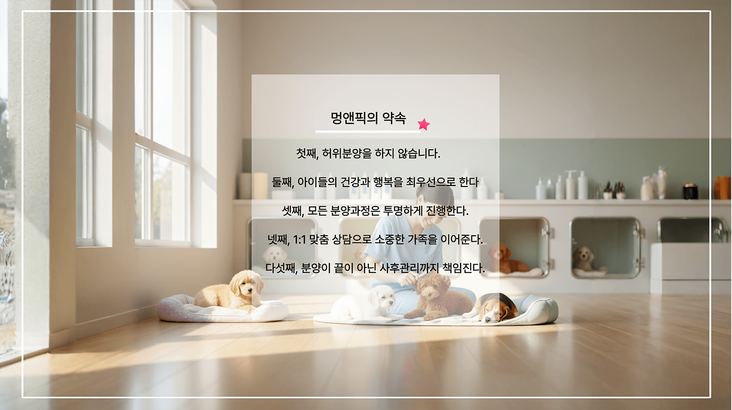 멍앤픽의 5가지 약속과 깨끗한 환경의 강아지들